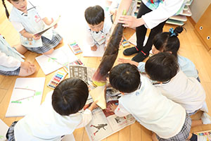 たけのこの観察　E