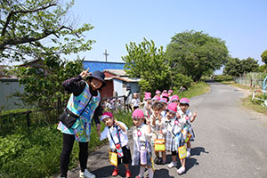 お散歩にでかけました　ばら・すみれ