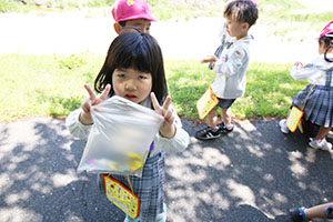 お散歩にでかけました　ばら・すみれ