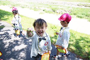 お散歩にでかけました　ばら・すみれ