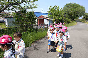 お散歩にでかけました　ばら・すみれ