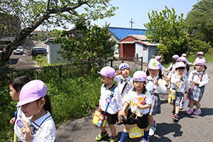 お散歩にでかけました　ばら・すみれ