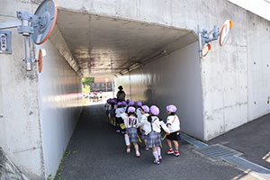 お散歩にでかけました　ばら・すみれ