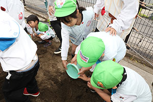 エンゼル畑に野菜の苗を植えました　年長組