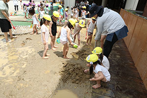 今日も元気にどろんこ遊び！　ひまわり・A