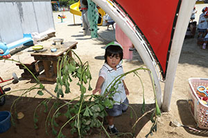 砂場で遊びました　うさぎ・ことり