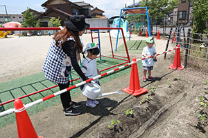 砂場で遊びました　うさぎ・ことり