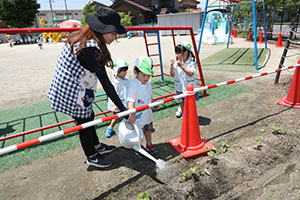 砂場で遊びました　うさぎ・ことり