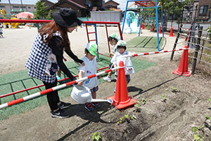 砂場で遊びました　うさぎ・ことり