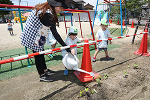 砂場で遊びました　うさぎ・ことり