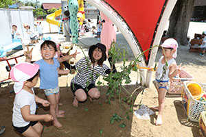 砂場で遊びました　うさぎ・ことり