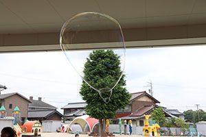 カードめくり競争とシャボン玉　ばら・すみれ