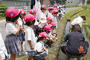 オタマジャクシを探しにでかけました　ばら・すみれ