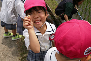 オタマジャクシを探しにでかけました　ばら・すみれ