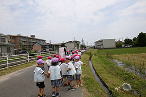 オタマジャクシを探しにでかけました　ばら・すみれ