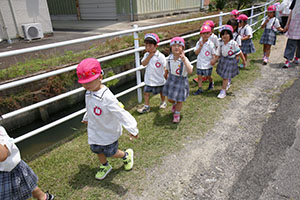 オタマジャクシを探しにでかけました　ばら・すみれ