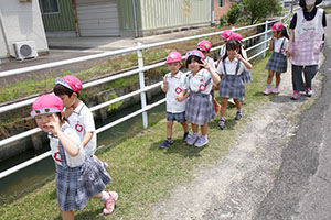 オタマジャクシを探しにでかけました　ばら・すみれ
