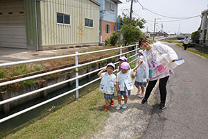 オタマジャクシを探しにでかけました　ばら・すみれ