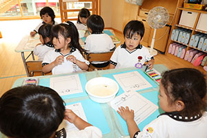 おたまじゃくしの観察　すみれ
