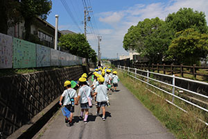 お散歩にでかけました　ひまわり