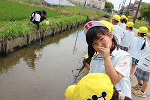 お散歩にでかけました　ひまわり