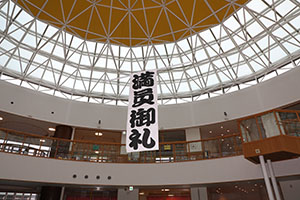 おすもうさんごっこ　E（ぱんだ・こあら）