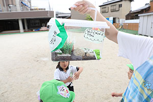 生き物の観察　B