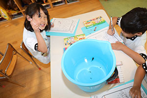 生き物の観察　B