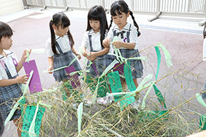 短冊に願いを込めて・・・☆彡　年長組