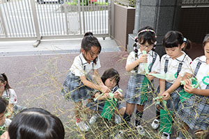 短冊に願いを込めて・・・☆彡　年長組