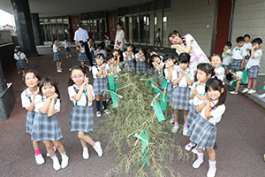 短冊に願いを込めて・・・☆彡　年長組