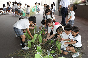 短冊に願いを込めて・・・☆彡　年長組
