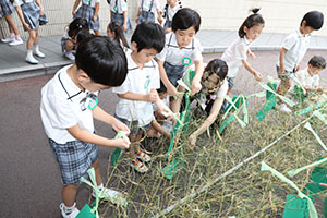 短冊に願いを込めて・・・☆彡　年長組
