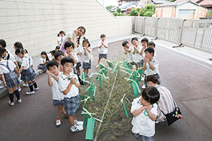 短冊に願いを込めて・・・☆彡　年長組