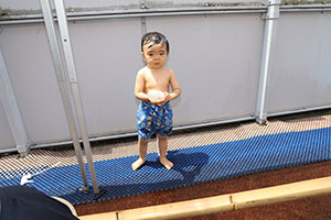 プール　楽しかったね　ひよこ