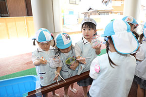 カラフル流しそうめん　楽しかったね！　こあら・ぱんだ