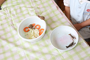 ザリガニ釣り　こあら