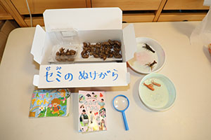 ザリガニ釣り　こあら