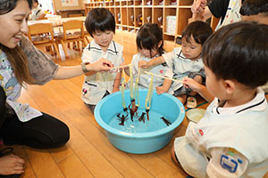 ザリガニ釣り　こあら