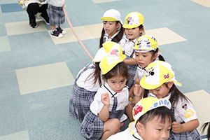 綱引き楽しかったね　年少組