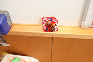 どんぐりのバッジ　あひる