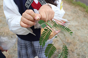 お散歩（公園）にでかけました　D