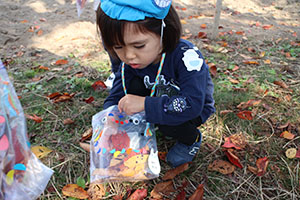 お散歩楽しかったね　ぺんぎん・ひよこ