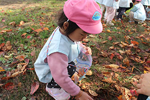 お散歩楽しかったね　ぺんぎん・ひよこ