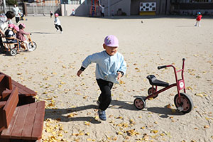 園庭遊び　ぺんぎん・ひよこ・すみれ・ばら