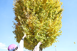 朝の園庭遊び！　A・B・C・E