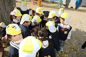 エンゼル幼稚園70周年おめでとう　ぱんだ