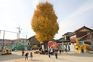 エンゼル幼稚園70周年おめでとう　ぱんだ