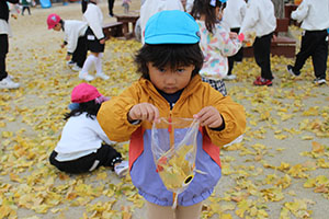 フクロウを作りました🦉　ぺんぎん