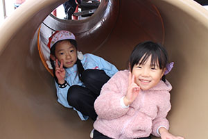 お散歩へでかけました　こあら・E